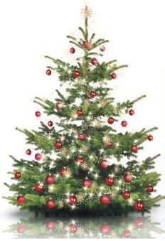 Weihnachtsbaum